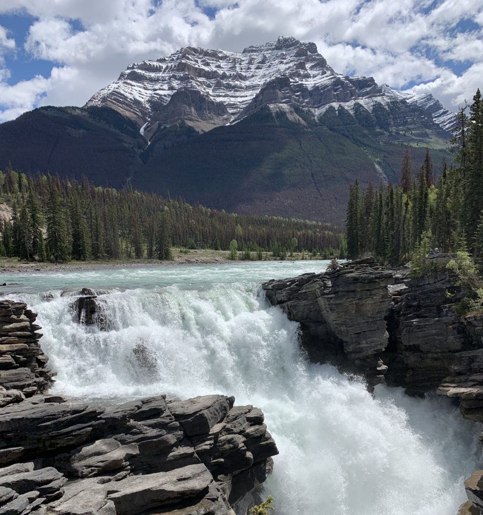 5 INCREDIBLE STOPS ON THE ICEFIELDS PARKWAY